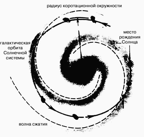 Спиральные структура графическое изображение