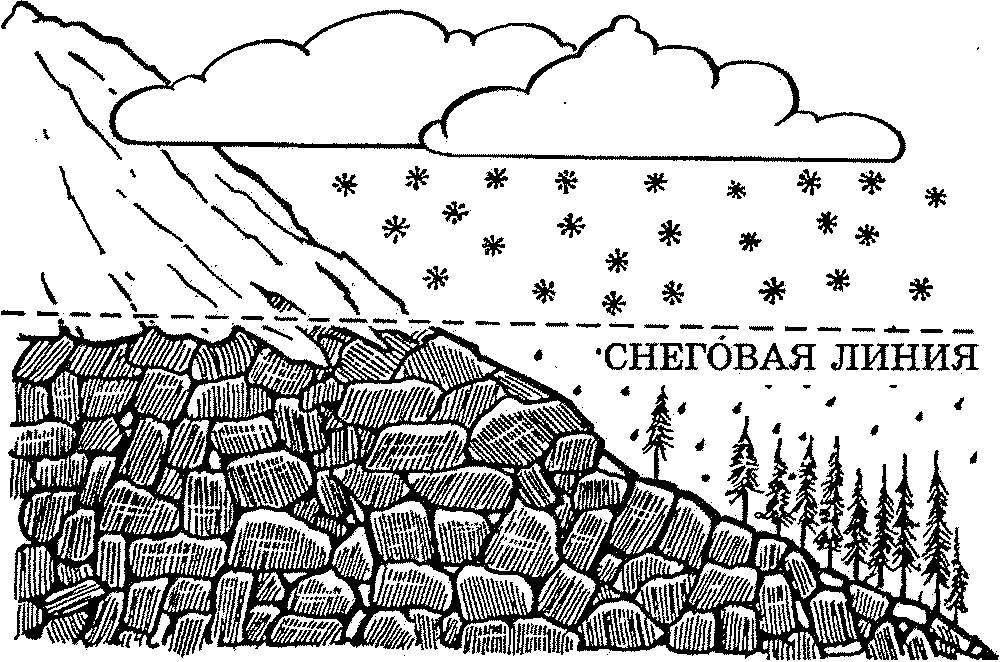 Рассмотрите схему природного процесса и выполните задания снеговая линия