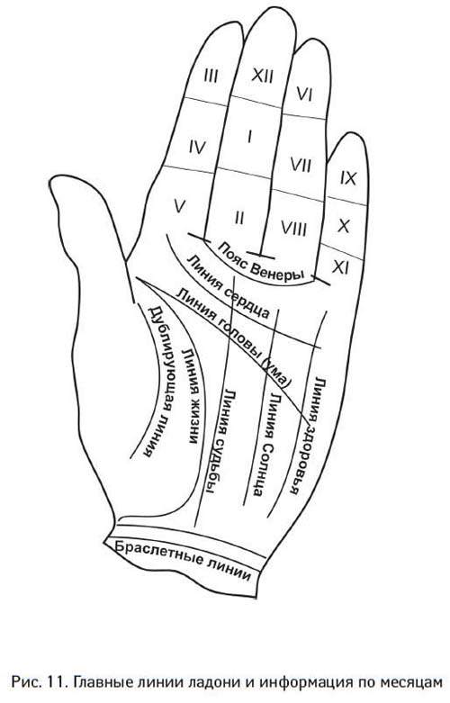 Линии на руке толкование с картинками левая рука