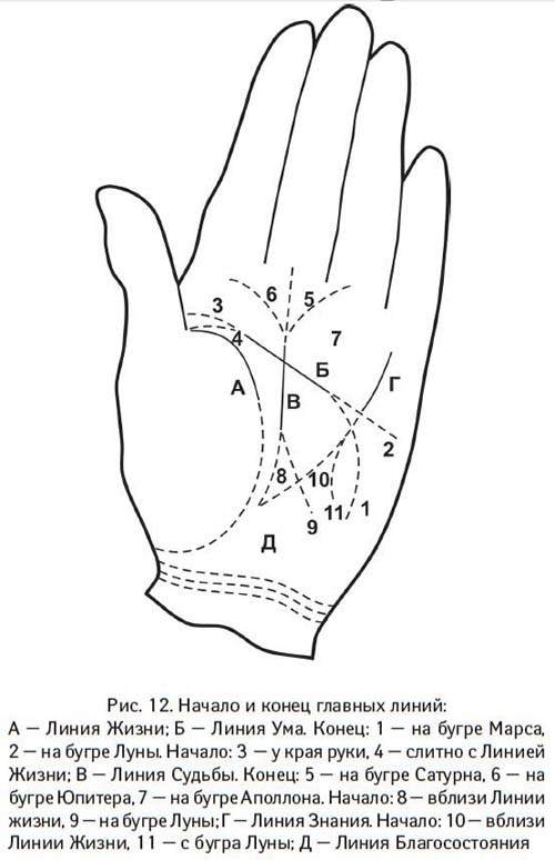 Линии судьбы на руке и их значение. Хиромантия линия жизни. Линии на ладони. Обозначение линий на руке. Знаки на ладони.