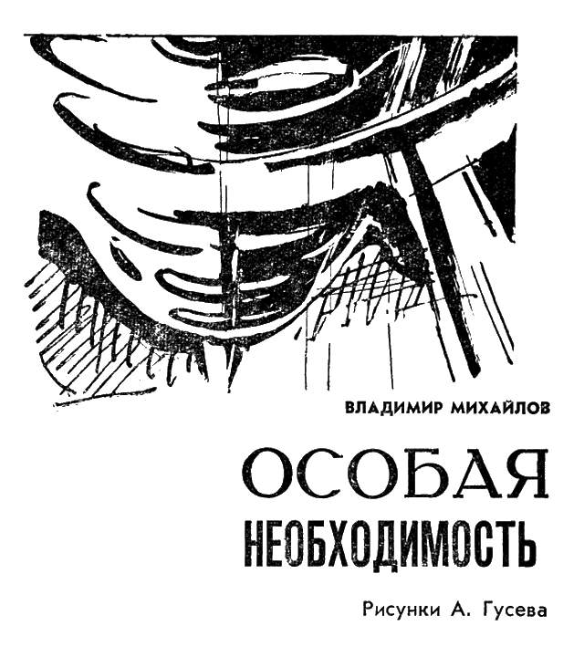 Особая необходимость. Особая необходимость Владимир Михайлов. Особая необходимость 2013. Особая необходимость в журнале.