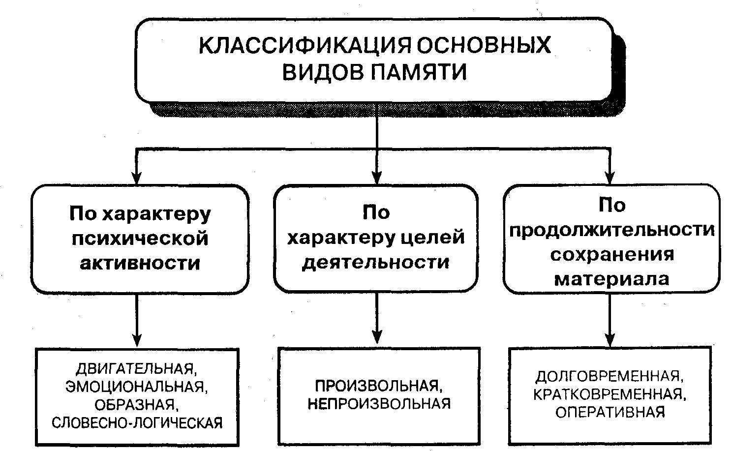 Память схема по психологии