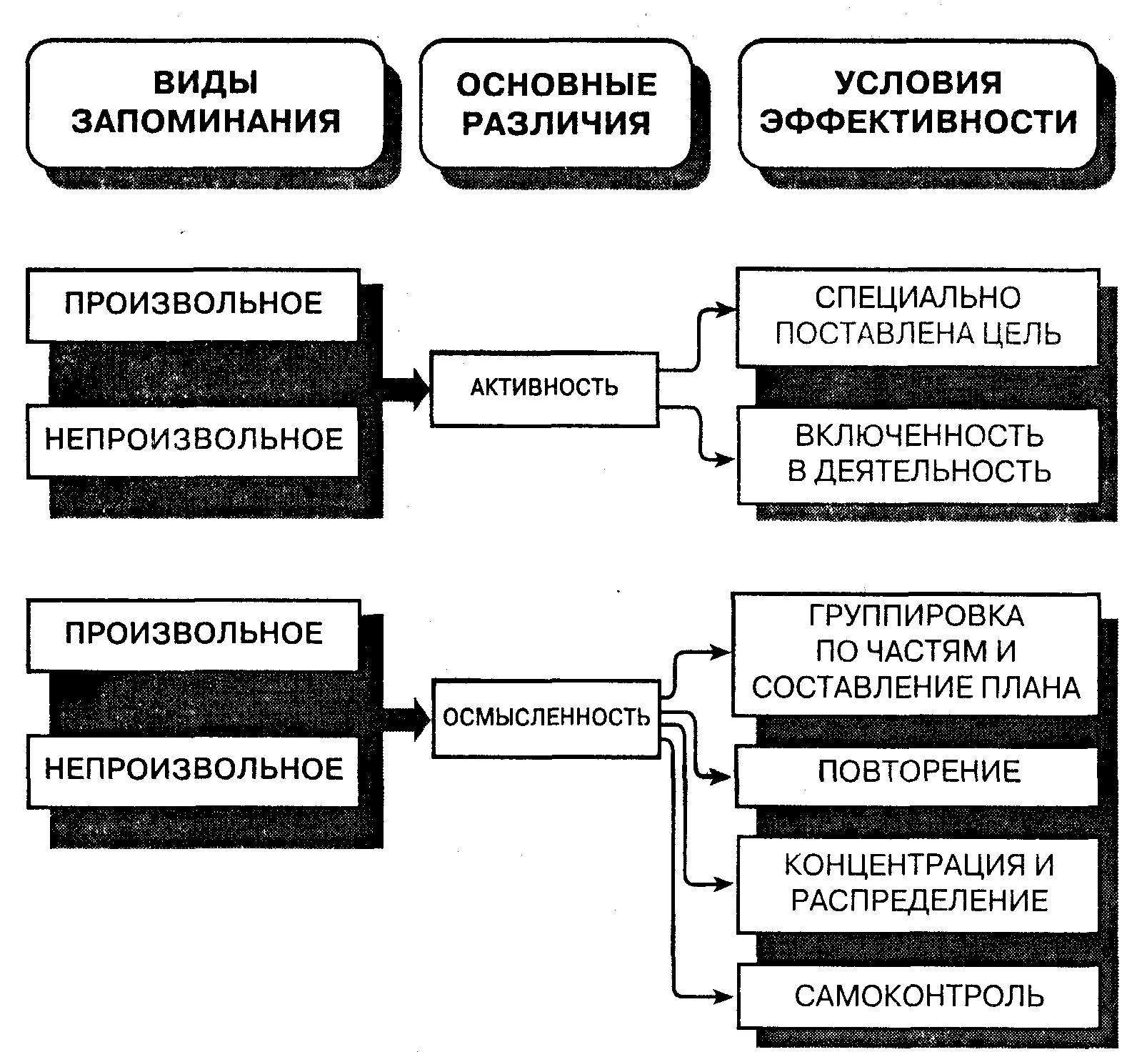 Память схема психология