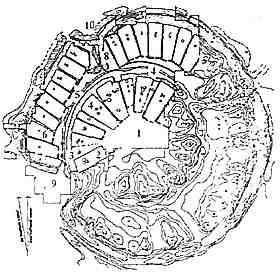Аркаим схема города