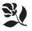 ... ����� ���������� �������� � ������. ������� ������� �������.