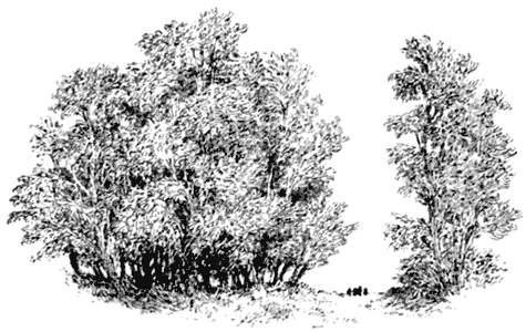 X. �������� � �������� �����. ������ ��� �����.
