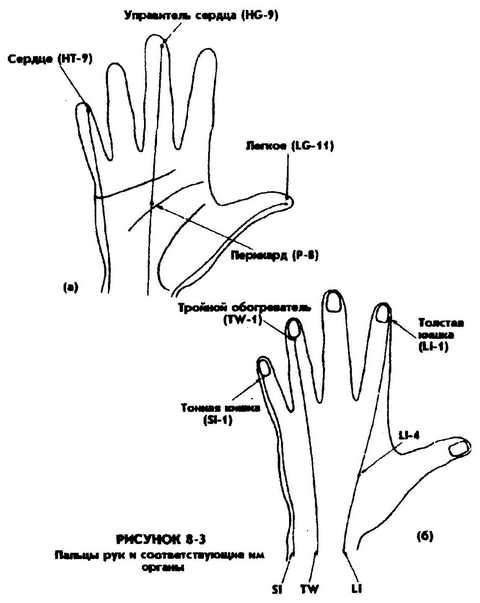 Меридианы на руке человека схема