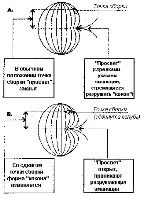 Точка сборки фото