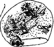 1 – Коса-горбуша; 2-5 – серпы; 6 – виноградарный нож; 7 – мотыжка; 8,9 – лемехи; 10 – чересло; 1-6, 8-10 – из Правобережного Цимлянскогого родища; 7 – из Дмитровского могильника. Рабы и данники русов. Глава 2. ОСНОВНЫЕ ВЕХИ ИСТОРИИ РУССКОГО КАГАНАТА. Часть III. АЛАНСКАЯ РУСЬ В ИСТОРИИ ВОСТОЧНОЙ ЕВРОПЫ И СЛАВЯН ПОДНЕПРОВЬЯ. Тайны Русского каганата.