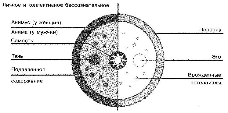 Структура личности юнг схема