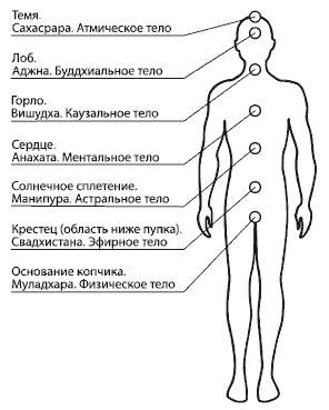 Солнечное сплетение человека рисунок